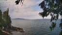 ./images/koeye/fitz-hugh/20260814/fitz-hugh20260814_115501M.jpg