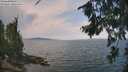 ./images/koeye/fitz-hugh/20260814/fitz-hugh20260814_121001M.jpg
