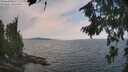 ./images/koeye/fitz-hugh/20260814/fitz-hugh20260814_122001M.jpg