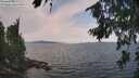 ./images/koeye/fitz-hugh/20260814/fitz-hugh20260814_123001M.jpg