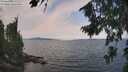 ./images/koeye/fitz-hugh/20260814/fitz-hugh20260814_123501M.jpg