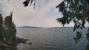 ./images/koeye/fitz-hugh/20260814/fitz-hugh20260814_125002M.jpg