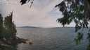 ./images/koeye/fitz-hugh/20260814/fitz-hugh20260814_125501M.jpg