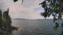 ./images/koeye/fitz-hugh/20260814/fitz-hugh20260814_130501M.jpg