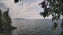 ./images/koeye/fitz-hugh/20260814/fitz-hugh20260814_133001M.jpg