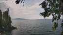 ./images/koeye/fitz-hugh/20260814/fitz-hugh20260814_133501M.jpg