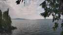 ./images/koeye/fitz-hugh/20260814/fitz-hugh20260814_134002M.jpg