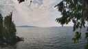 ./images/koeye/fitz-hugh/20260814/fitz-hugh20260814_134501M.jpg