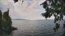 ./images/koeye/fitz-hugh/20260814/fitz-hugh20260814_135001M.jpg