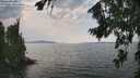 ./images/koeye/fitz-hugh/20260814/fitz-hugh20260814_140501M.jpg