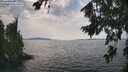./images/koeye/fitz-hugh/20260814/fitz-hugh20260814_141502M.jpg