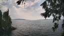 ./images/koeye/fitz-hugh/20260814/fitz-hugh20260814_142001M.jpg