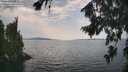 ./images/koeye/fitz-hugh/20260814/fitz-hugh20260814_143501M.jpg