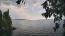 ./images/koeye/fitz-hugh/20260814/fitz-hugh20260814_144001M.jpg