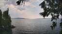 ./images/koeye/fitz-hugh/20260814/fitz-hugh20260814_145001M.jpg