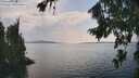 ./images/koeye/fitz-hugh/20260814/fitz-hugh20260814_152501M.jpg