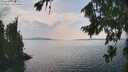 ./images/koeye/fitz-hugh/20260814/fitz-hugh20260814_153501M.jpg