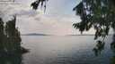 ./images/koeye/fitz-hugh/20260814/fitz-hugh20260814_154501M.jpg
