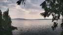 ./images/koeye/fitz-hugh/20260814/fitz-hugh20260814_163501M.jpg