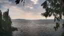 ./images/koeye/fitz-hugh/20260814/fitz-hugh20260814_165002M.jpg