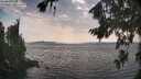 ./images/koeye/fitz-hugh/20260814/fitz-hugh20260814_165501M.jpg