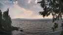./images/koeye/fitz-hugh/20260814/fitz-hugh20260814_173001M.jpg
