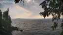 ./images/koeye/fitz-hugh/20260814/fitz-hugh20260814_173501M.jpg