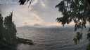 ./images/koeye/fitz-hugh/20260814/fitz-hugh20260814_175001M.jpg