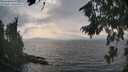 ./images/koeye/fitz-hugh/20260814/fitz-hugh20260814_175501M.jpg
