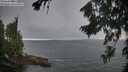 ./images/koeye/fitz-hugh/20260814/fitz-hugh20260814_185001M.jpg