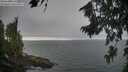 ./images/koeye/fitz-hugh/20260814/fitz-hugh20260814_192501M.jpg