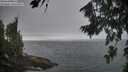 ./images/koeye/fitz-hugh/20260814/fitz-hugh20260814_194501M.jpg