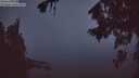./images/koeye/fitz-hugh/20260815/fitz-hugh20260815_053501M.jpg