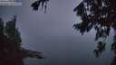 ./images/koeye/fitz-hugh/20260815/fitz-hugh20260815_055001M.jpg