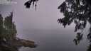 ./images/koeye/fitz-hugh/20260815/fitz-hugh20260815_064501M.jpg