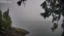 ./images/koeye/fitz-hugh/20260815/fitz-hugh20260815_083001M.jpg