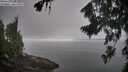 ./images/koeye/fitz-hugh/20260815/fitz-hugh20260815_090502M.jpg