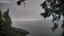 ./images/koeye/fitz-hugh/20260815/fitz-hugh20260815_091002M.jpg