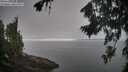 ./images/koeye/fitz-hugh/20260815/fitz-hugh20260815_091501M.jpg