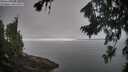 ./images/koeye/fitz-hugh/20260815/fitz-hugh20260815_092001M.jpg