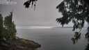 ./images/koeye/fitz-hugh/20260815/fitz-hugh20260815_093001M.jpg