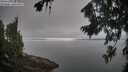 ./images/koeye/fitz-hugh/20260815/fitz-hugh20260815_093501M.jpg