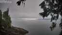 ./images/koeye/fitz-hugh/20260815/fitz-hugh20260815_094001M.jpg