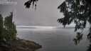 ./images/koeye/fitz-hugh/20260815/fitz-hugh20260815_095001M.jpg