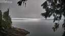 ./images/koeye/fitz-hugh/20260815/fitz-hugh20260815_095501M.jpg