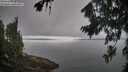 ./images/koeye/fitz-hugh/20260815/fitz-hugh20260815_100001M.jpg