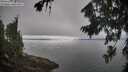 ./images/koeye/fitz-hugh/20260815/fitz-hugh20260815_100501M.jpg