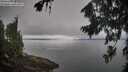 ./images/koeye/fitz-hugh/20260815/fitz-hugh20260815_101001M.jpg