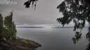 ./images/koeye/fitz-hugh/20260815/fitz-hugh20260815_102501M.jpg