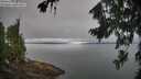 ./images/koeye/fitz-hugh/20260815/fitz-hugh20260815_103001M.jpg
